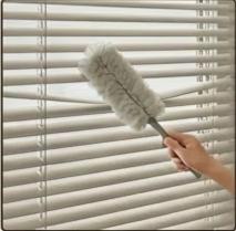 Window Blinds